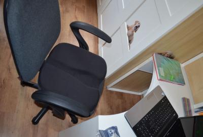 flex-chair.jpg